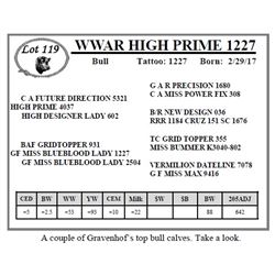 WWAR HIGH PRIME 1227