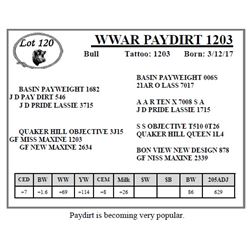 WWAR PAYDIRT 1203