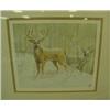 Image 2 : WHITE-TAIL DEER Watercolor