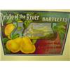 Image 2 : SACRAMENTO RIVER PEARS Fruit Label