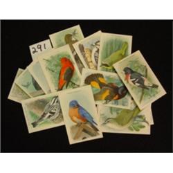 ARM & HAMMER Advertising Cards - BIRDS