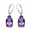 Image 1 : Sterling Silver Brazil Amethyst Earrings