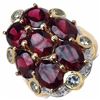 Image 1 : Sterling Silver Rhodolite Ring