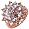 Image 1 : Sterling Silver Morganite Ring