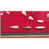 Image 6 : Indian Territory Arrowhead Collection
