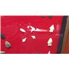 Image 9 : Indian Territory Arrowhead Collection