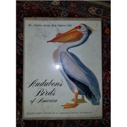 Audubon's Birds Of America