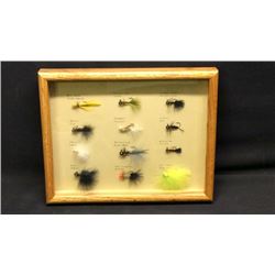 Fishing Display