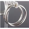 Image 2 : Set of Hoop Earrings & Ruby Horseshoe Jewelry Set