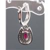 Image 7 : Set of Hoop Earrings & Ruby Horseshoe Jewelry Set