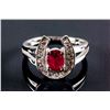 Image 8 : Set of Hoop Earrings & Ruby Horseshoe Jewelry Set