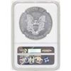 Image 2 : 2013 $1 American Silver Eagle Coin NGC MS69