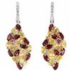 Image 1 : Natural Garnet & Citrine Earrings