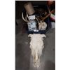 Image 2 : BOX LOT OF ANTLERS, BULL SKULL, MISC COLLECTIBLES ETC