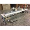 Image 1 : STEEL STOCK CART - APPROX. 11 X 1 FT