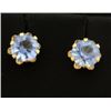 Image 1 : Sky Blue Crystal Stud Earrings