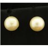 Pearl Stud Earrings