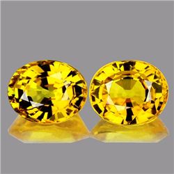 Natural Golden Yellow Pair 5x4 MM - VVS