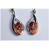 Image 1 : Stunning Fire Natural Opal & Spessarite Gems Earrings