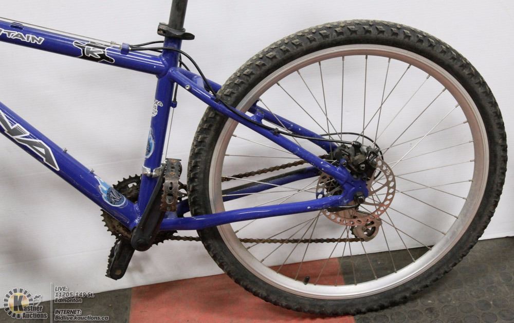 kona fire mountain 2006