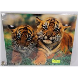 TWO TIGER CUBS PRINT (20"X16") -