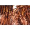 Image 2 : LADIES FUR COAT