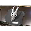 Image 1 : PAINTED GOAT SKULL WALL PLAQUE