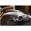 Image 2 : PAINTED GOAT SKULL WALL PLAQUE