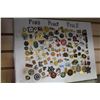 Image 1 : DISPLAY OF COLLECTIBLE PINS