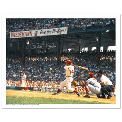 Rose Hitting in Crosley Field