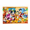 Image 1 : Disney Mickey and Friends Group Poster