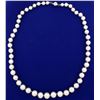 Image 1 : Vintage Graduated Natural Akoya Pearl Necklace with 18k White Gold Clasp
