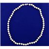 Image 1 : Akoya Pearl Necklace with 14k Gold Clasp