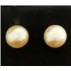 Image 1 : Stud Pearl Earrings