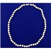 Image 1 : Akoya Pearl Necklace with 14k Gold Clasp