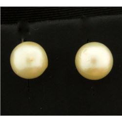 Pearl Stud Earrings