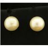 Image 1 : Pearl Stud Earrings