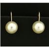 Image 1 : Screw Back Akoya Pearl Stud Earrings in 14k Gold