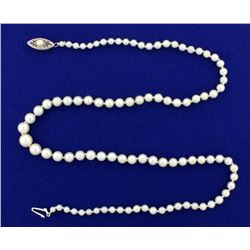 Graduated Natural Akoya Pearl Necklace with 14k White Gold Clasp