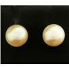 Image 1 : Stud Pearl Earrings