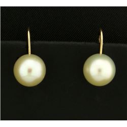 Screw Back Akoya Pearl Stud Earrings in 14k Gold