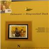 Image 2 : 2003 Delaware Waterfowl $9.00 Stamp, mint, unused with original literature mounted in a plastic page