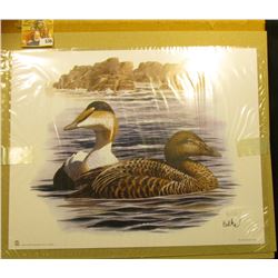 2006 Fleetwood Print measuring 10.5" x 13.25" of a Pair of Sea Ducks personally autographed by the a