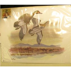 2005 Fleetwood hand autographed print of a pair of Green-winged Teals by Don Balke, 10.5  x 13.25 .