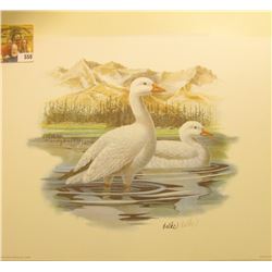 1991 Fleetwood hand autographed print of a pair of Ross' Geese at Rest by Don Balke, 10.5  x 13.25 .
