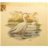 Image 1 : 1991 Fleetwood hand autographed print of a pair of Ross' Geese at Rest by Don Balke, 10.5" x 13.25".
