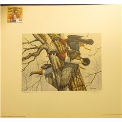 1992 Montana Wood Duck Print, No. 2575 pf 9212 Prints hand autographed by Craig Philllips, measures 
