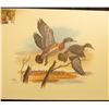 Image 1 : 1998 Fleetwood hand autographed print of a pair of Wood Ducks by Don Balke, 10.5" x 13.25".