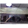 Image 9 : 2001 - DODGE RAM1500//SALVAGE TITLE