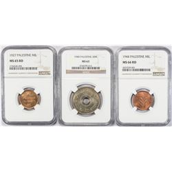 PALESTINE:LOT of 3 NGC graded coins